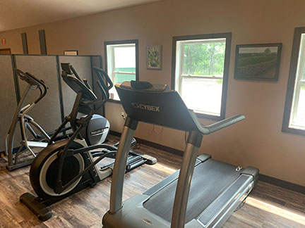 exercise equipment-treadmills and elliptical